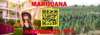 прущие грибы Пугачёв