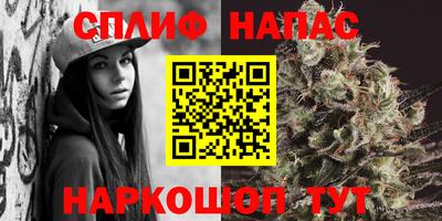 прущие грибы Пугачёв
