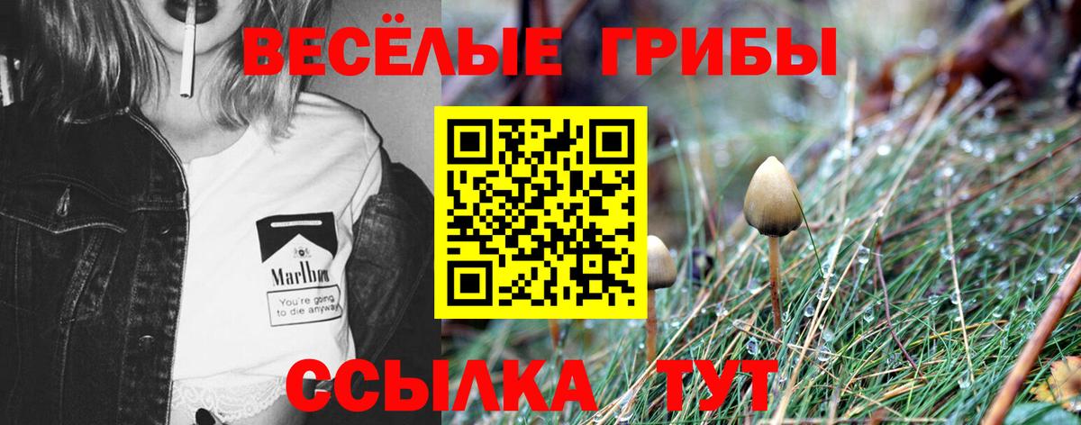 Галлюциногенные грибы мухоморы Сарапул